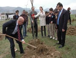 Gemlik Girişi Ağaçlandırılıyor