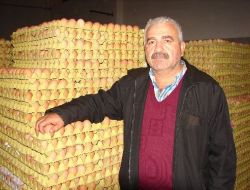 Üreticilerden Protestocu Gençlere: Yumurtaları Atmayın, Yiyin Zekânız Gelişsin!