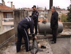 Gaziantep İtfaiyesi Kirli Bacalar İçin Vatandaşları Uyardı