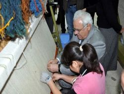 Siirt'te Kapanan Halı Atölyeleri Yeniden Açıldı, 200 Kadına İş İmkanı Doğdu