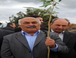 Akdeniz Kıyılarında En Sağlıklı Deniz Kaplumbağası Üreme Alanı Kızılot Sahili