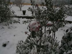 Yozgat'ta Kar Yağışı Devam Ediyor!!