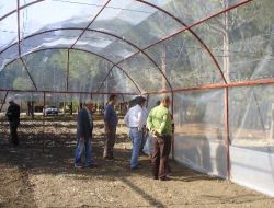 Üreticiler Sebze Yetiştirmeyi Uygulamalı Olarak Öğreniyor