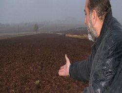 Gaziantep'te Çiftçinin Yağmur Sevinci