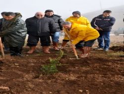 Çölleşmenin Sebebi Ormanların Yok Edilmesi