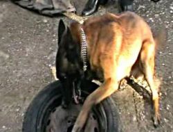 Antalya'da 9 Kişi, Bir Kilo Kokainle Yakalandı!