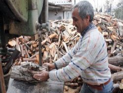 Budanan Ağaçlar Dar Gelirlilere Yakacak Oluyor