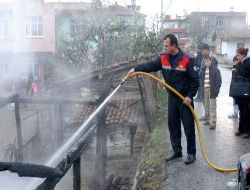 Ahır Yangınında 6 Aylık Hamile İnek Danası İle Yandı, Aile Çaresiz