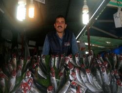 Karadeniz'de Balıkçılar Ümitle Palamut Bekliyor