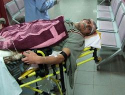 Ayının Elinden Ölü Taklidi Yaparak Kurtuldular