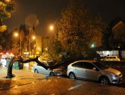 İzmir'de Şiddetli Rüzgar: Ağaç Otomobilin Üzerine Devrildi