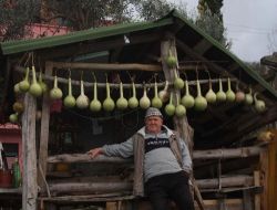 Evinin Önünü Su Kabakları İle Süsledi