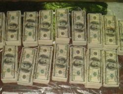 Türkiye'den Rusya'ya 20 Milyon Dolar Sokmaya Çalışan Şebeke Yakayı Ele Verdi!