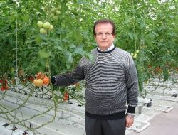 Denizlili Sanayiciler Seracılığa Yöneliyor!