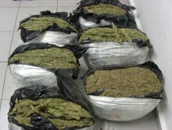 Şanlıurfa'da Esrar Operasyonu: 4 Kişi Tutuklandı!