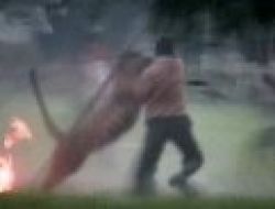 Hindistan’da Leopar Saldırısı: 7 Köylü Yaralandı