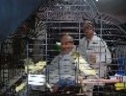 Kanarya Sesi Eşliğinde Tıraş Keyfi