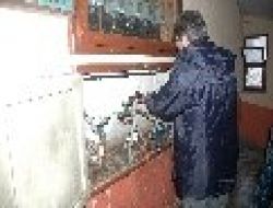 Su Sayaçları Çalınan Apartmanları Su Bastı