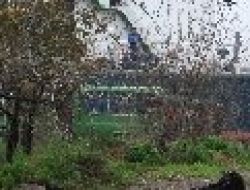 Karaköy’de Denizden Erkek Cesedi Çıktı