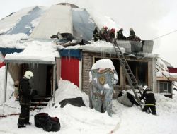 Rusya’da Sirk Yandı: 50'den Fazla Hayvan Telef Oldu!