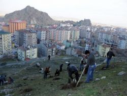 Sarıkız Tepesi'nde Ağaçlandırma Çalışmalarına Başladı