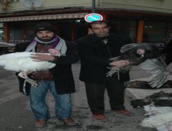 "yılbaşında Hindi Kesmenin Türk-islam Gelenekleri Arasında Yeri Yok"