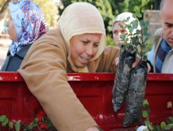 Taşağıl Orman İşletme Müdürlüğü, 3 Bin 500 Ücretsiz Fidan Dağıttı