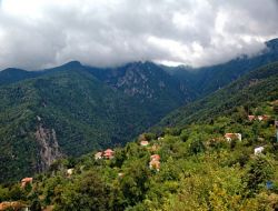 Çalıkuşu Da Köylü Olacak