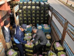 Hatay’da Hal Çıkış Bedeli Yatırılmayan 11 Ton Muz Ve 3 Ton Kestane Yakalandı