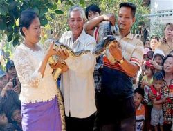 Bu Düğünde Gelin De Damat Da Çatal Dilli