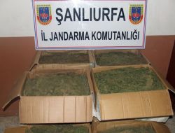 Şanlıurfa’da 89 Kilogram Kubar Esrar Ele Geçirildi