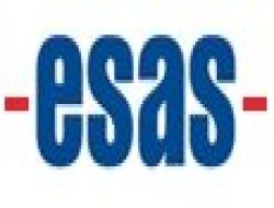 Esas Holding: Malev’in Satış Süreciyle Bir İlgimiz Bulunmamaktadır!