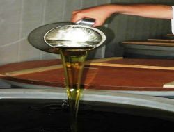 Edremit Körfezi’nde Zeytin Satışı Yüzde 50 Arttı!