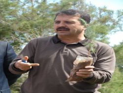 Adli Cezaya Çarptırılan 5 Kişi Bin 800 Fidan Dikti