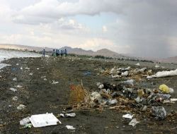 Van Gölü Sahillerindeki Çöpler 20 Kişilik Ekip Tarafından Temizleniyor
