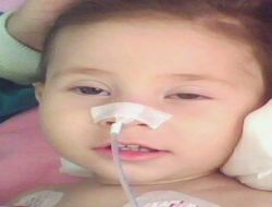 Solunum Cihazına Bağlı 5 Çocuğun Kalbinin Durduğu İddia Edildi