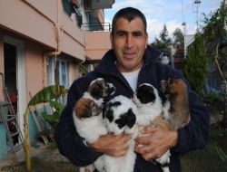 Side'de Sokak Köpeklerini Sahiplenme Kampanyası