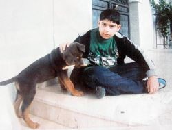 Kayıp Köpeğini Bulamayınca Belediye Ve Polise Başvurdu
