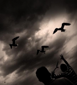 Ölü Kuş Dehşeti İtalya'ya Sıçradı!