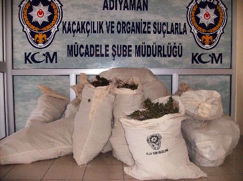 Adıyaman tarihinin en büyük esrar operasyonu!