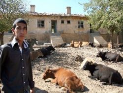 30 Yıllık Sağlık Ocağı Bakımsızlıktan Ahıra Dönüştü