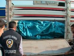 Sebze Kamyonunda Kaçak Sigara Dağıtımı