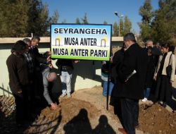 Nusaybin Belediyesi Tabelaları 5 Dile Çevirdi