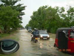 Sri Lanka'da Sel 1 Milyon Kişiyi Evsiz Bıraktı