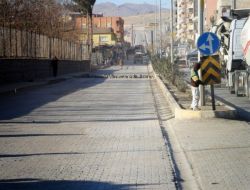 Cizre’de Korsan Gösteri Yapan Gruba Polis Müdahalesi