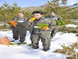 Yaban Hayvanları İçin Doğaya 3 Ton Sakatat Ve Havuç Bırakıldı