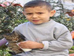 Çocuk Ve Kedi