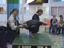 Moskova'da Hayvan Terapisi İlacın Yerini Aldı