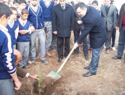 Derik'te Ağaç Dikme Kampanyası