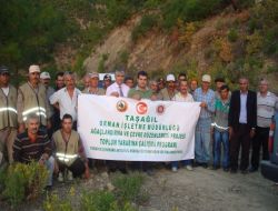 Taşağıl Orman İşletme Müdürlüğü, Tyçp'ne 2011'de De Devam Edecek